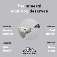 Woof 'n' Purr Zinc for Dogs skin-coat close-up promoting healthier coat