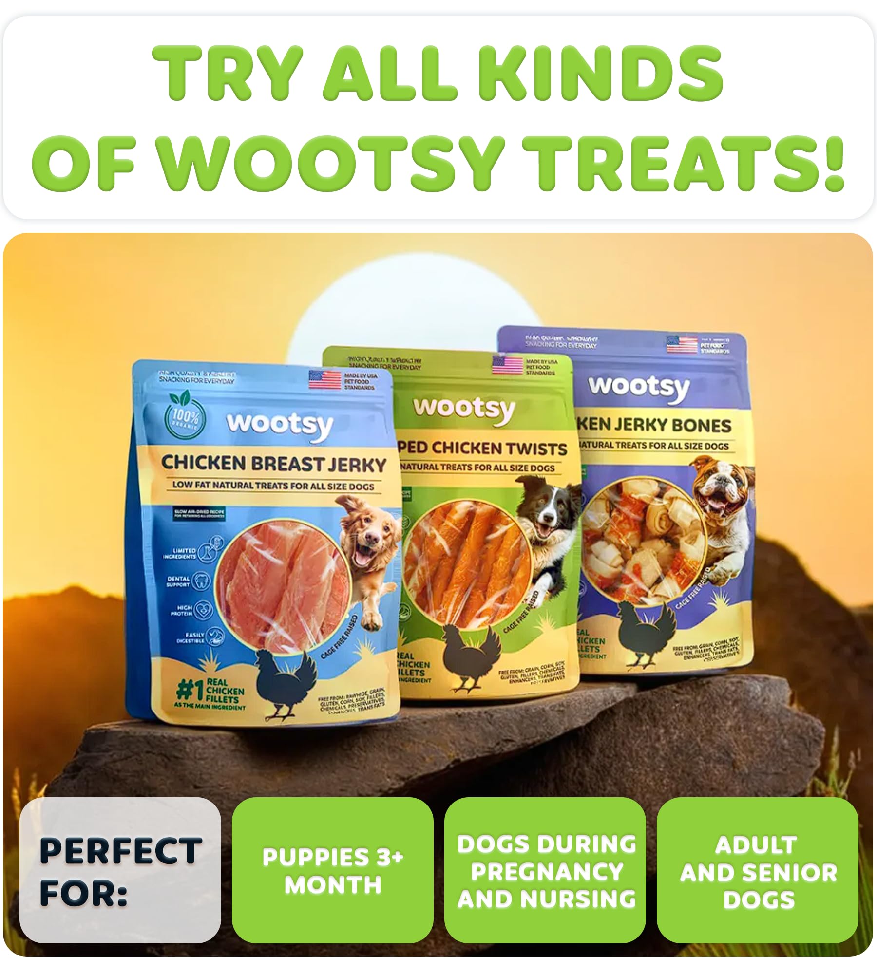 Wootsy dog enjoying the treat reinforces positive training rewards.