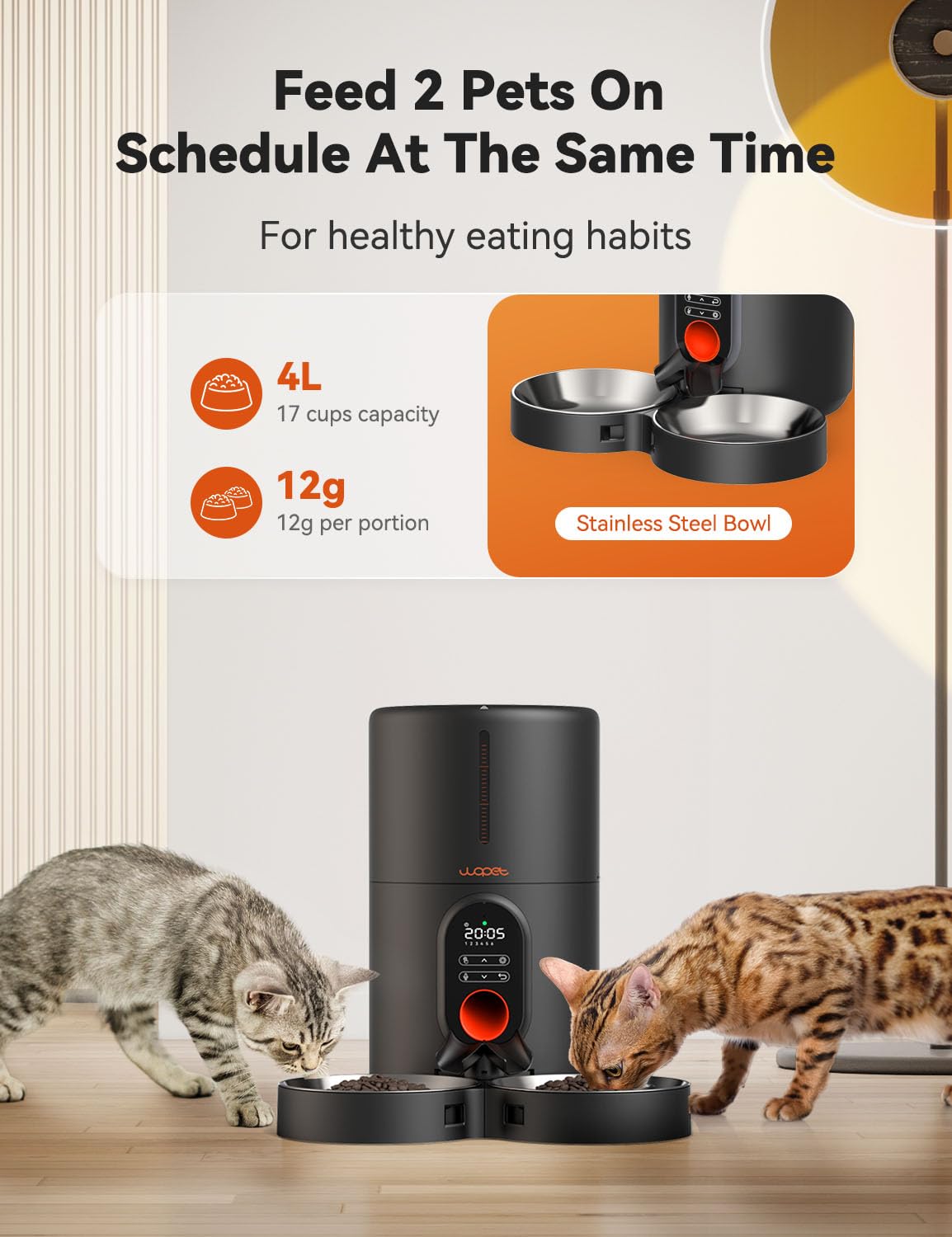 WOPET automatic cat feeder shows timed meals on a digital timer.