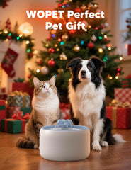 WOPET W03 Lite ultra-quiet pump image emphasizes peaceful pet setup