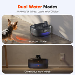 WOPET filtration system keeps water cleaner by removing debris.