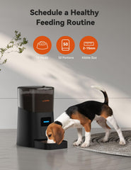 WOPET voice call setup shows comforting meal announcements that help cats and dogs anticipate feeding.