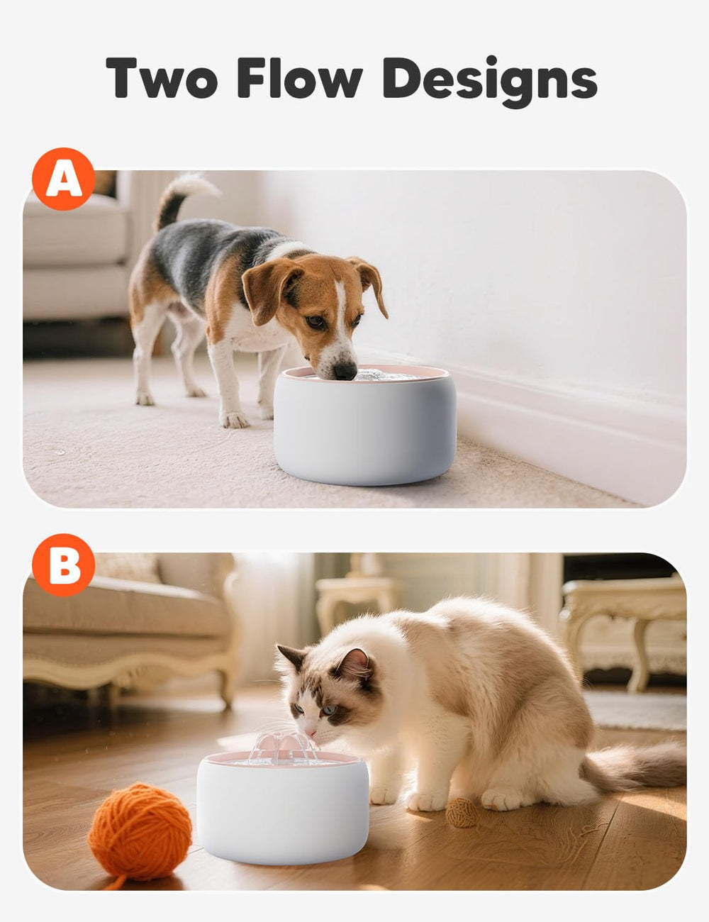 WOPET W03 Lite 3L capacity showcased for multi-pet households