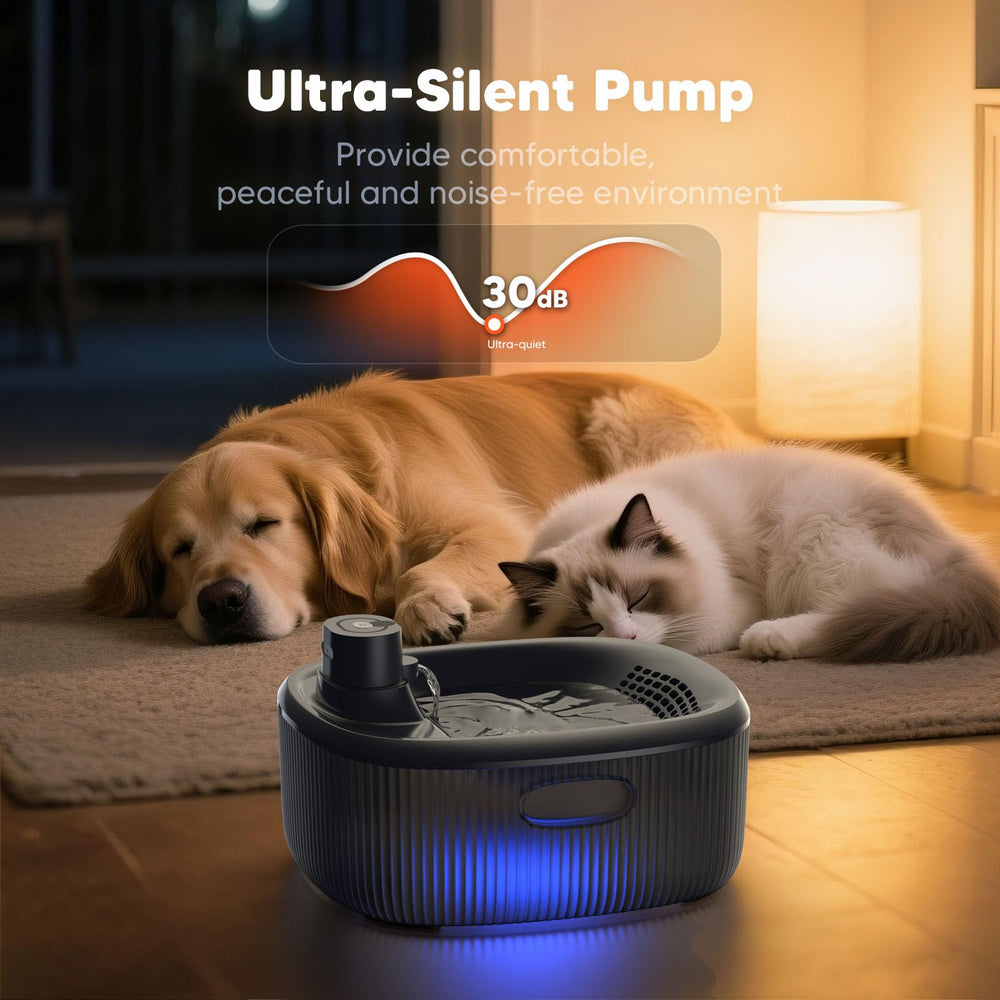 WOPET whisper-quiet pump maintains a peaceful home environment.