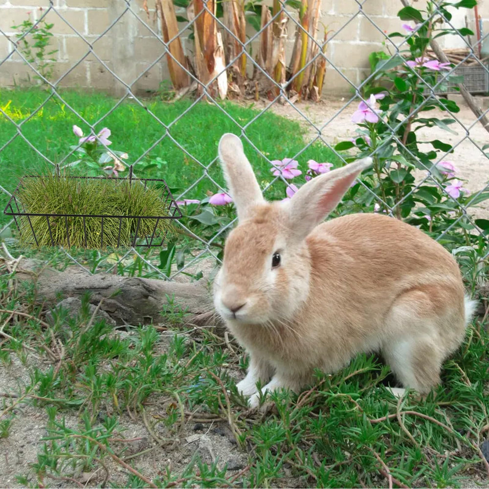 WOPPLXY compatible with guinea pigs, rabbits, hamsters and more