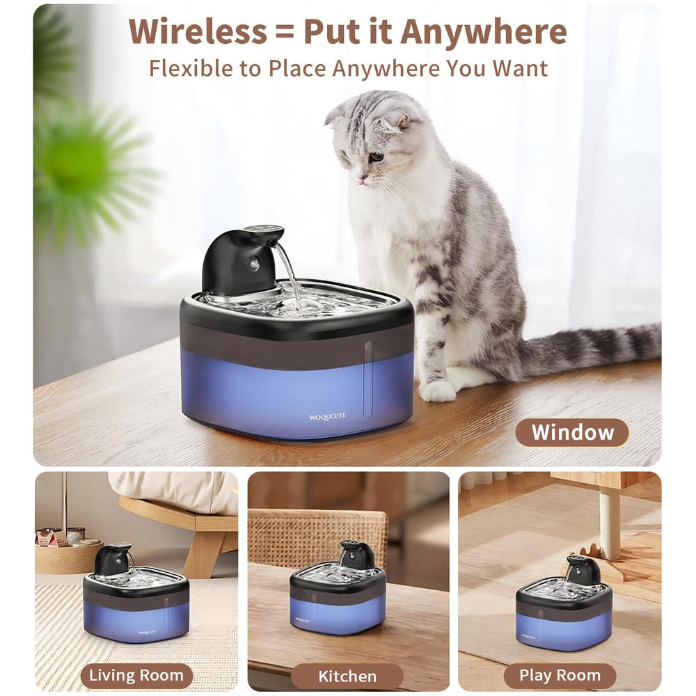 Woqucute cat water fountain filtration system helps deliver cleaner-tasting water.
