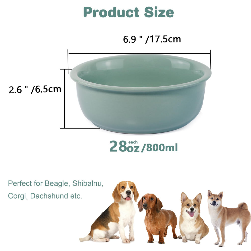 Wordcam tazón 28 oz, capacidad ideal para comida y agua.