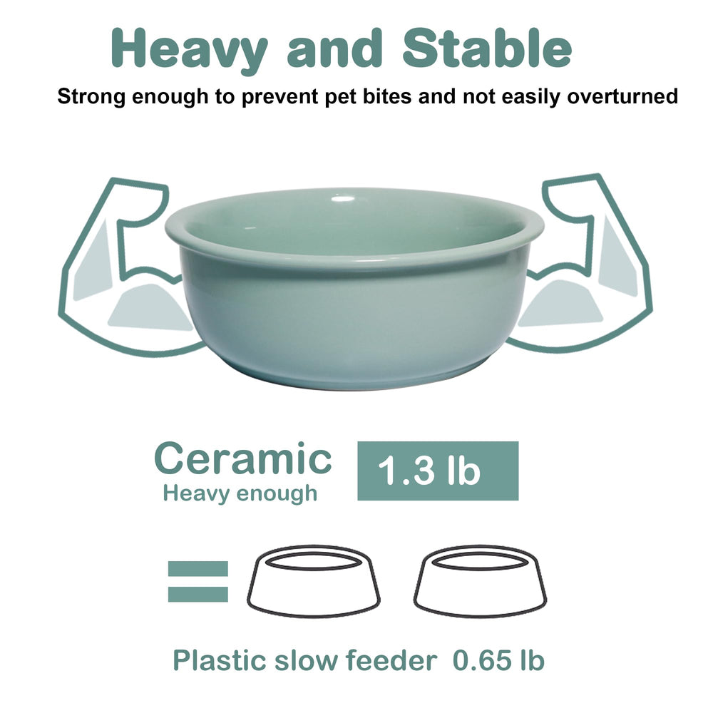Wordcam tazón cerámico durable, porcelana segura para perros y gatos.