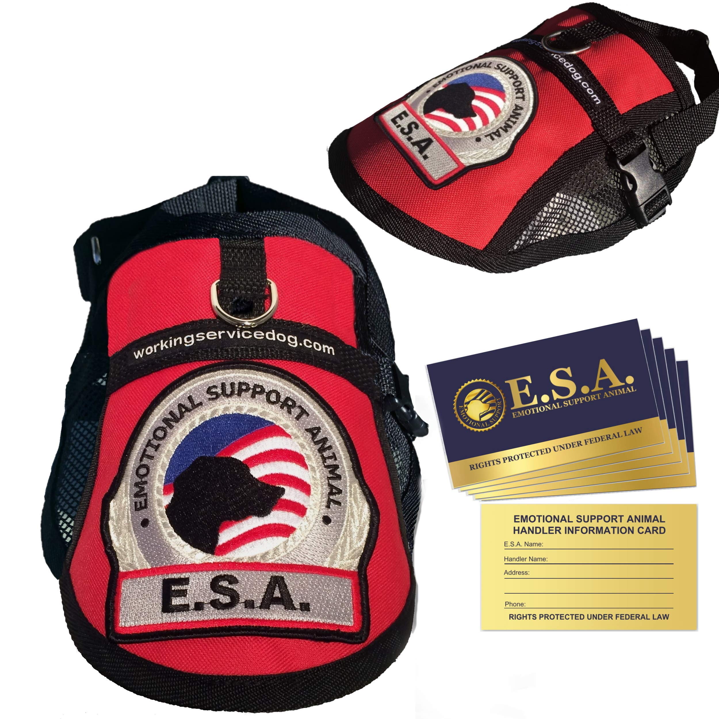 WORKINGSERVICEDOG vest front view highlights secure fit and visible ESA patch for easy identification.