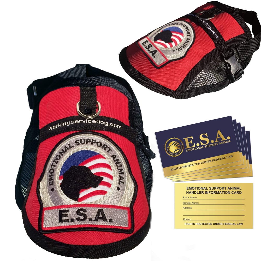 WORKINGSERVICEDOG vest front view highlights secure fit and visible ESA patch for easy identification.