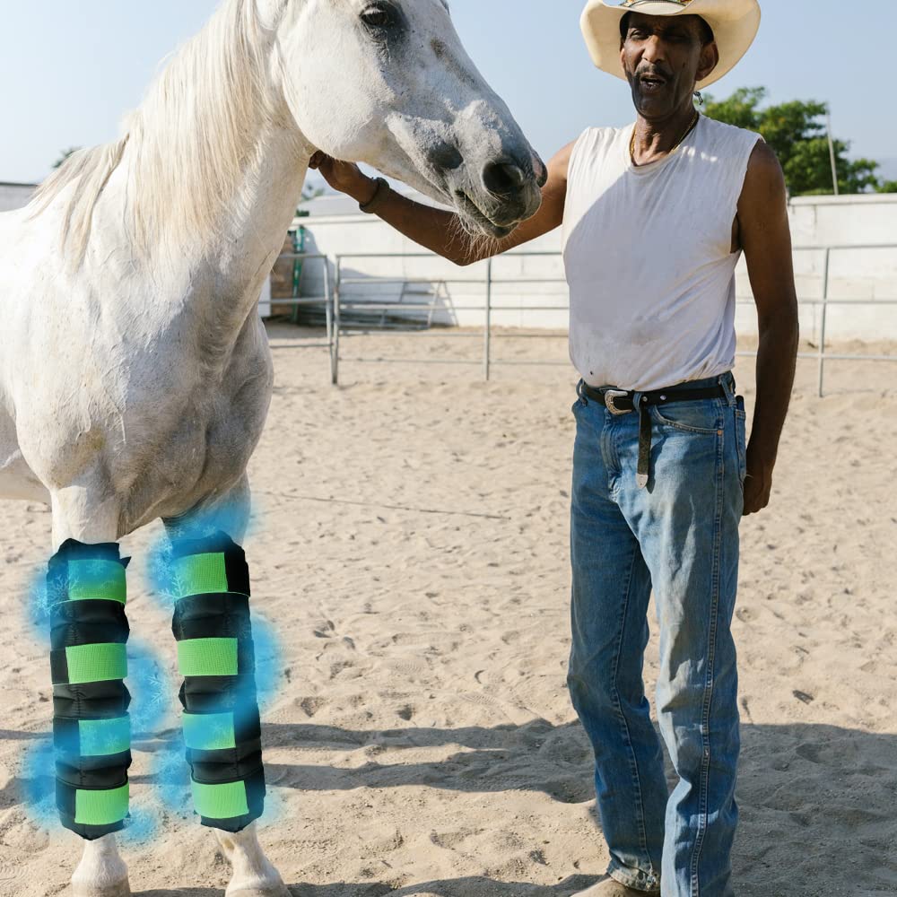 WORLD-BIO horse ice boots application-demo showing freezer-to-leg cooling system.