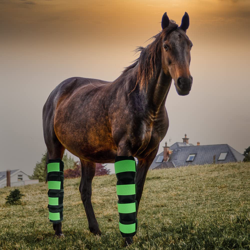 WORLD-BIO horse ice boots durable outer shell resists wear.
