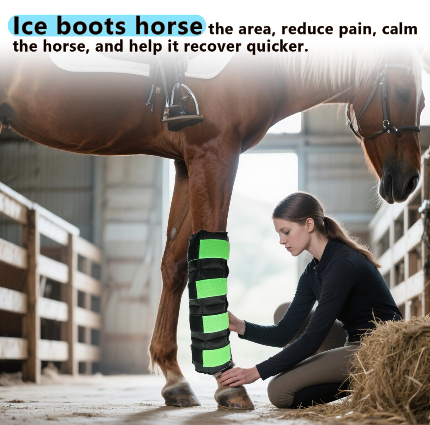 WORLD-BIO horse ice boots green color for easy visibility and identification.
