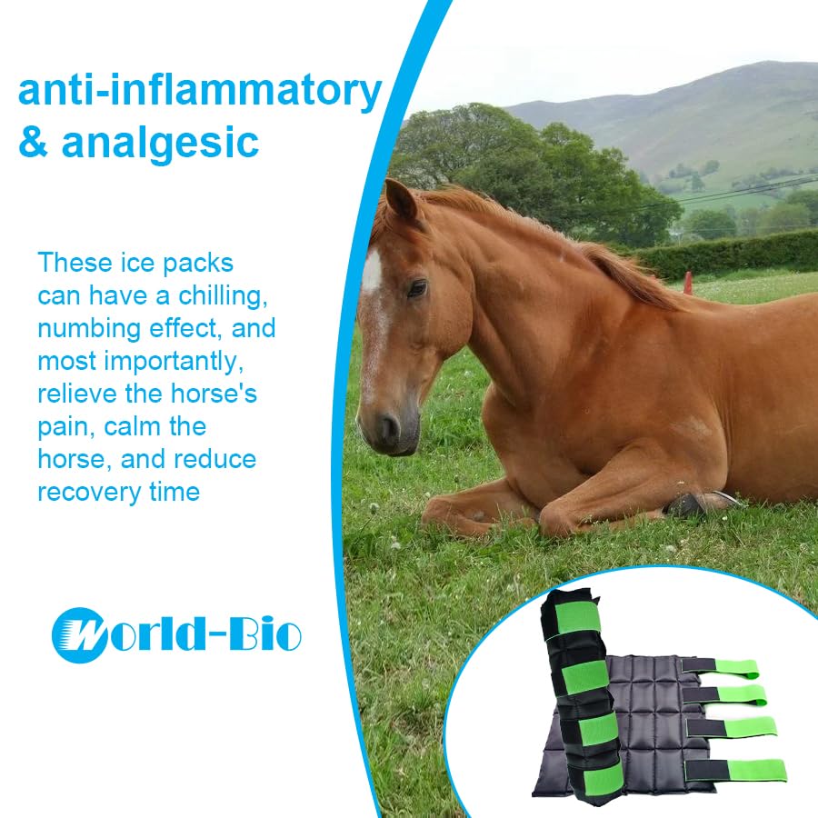 WORLD-BIO horse ice boots hock and knee support during post-exercise cooling.