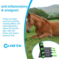 WORLD-BIO horse ice boots hock and knee support during post-exercise cooling.