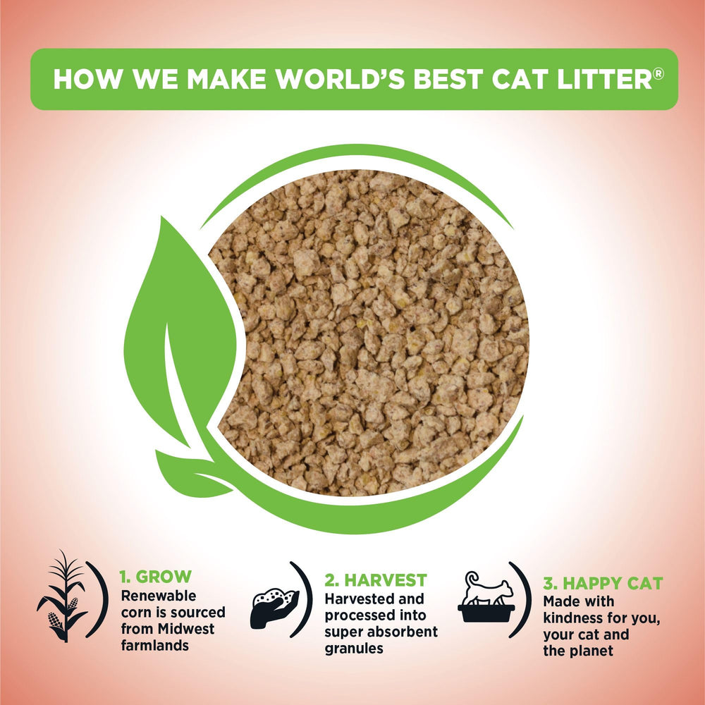 World's Best Cat Litter 99% dust-free image highlights lightweight, low-tracking litter for clean paws.