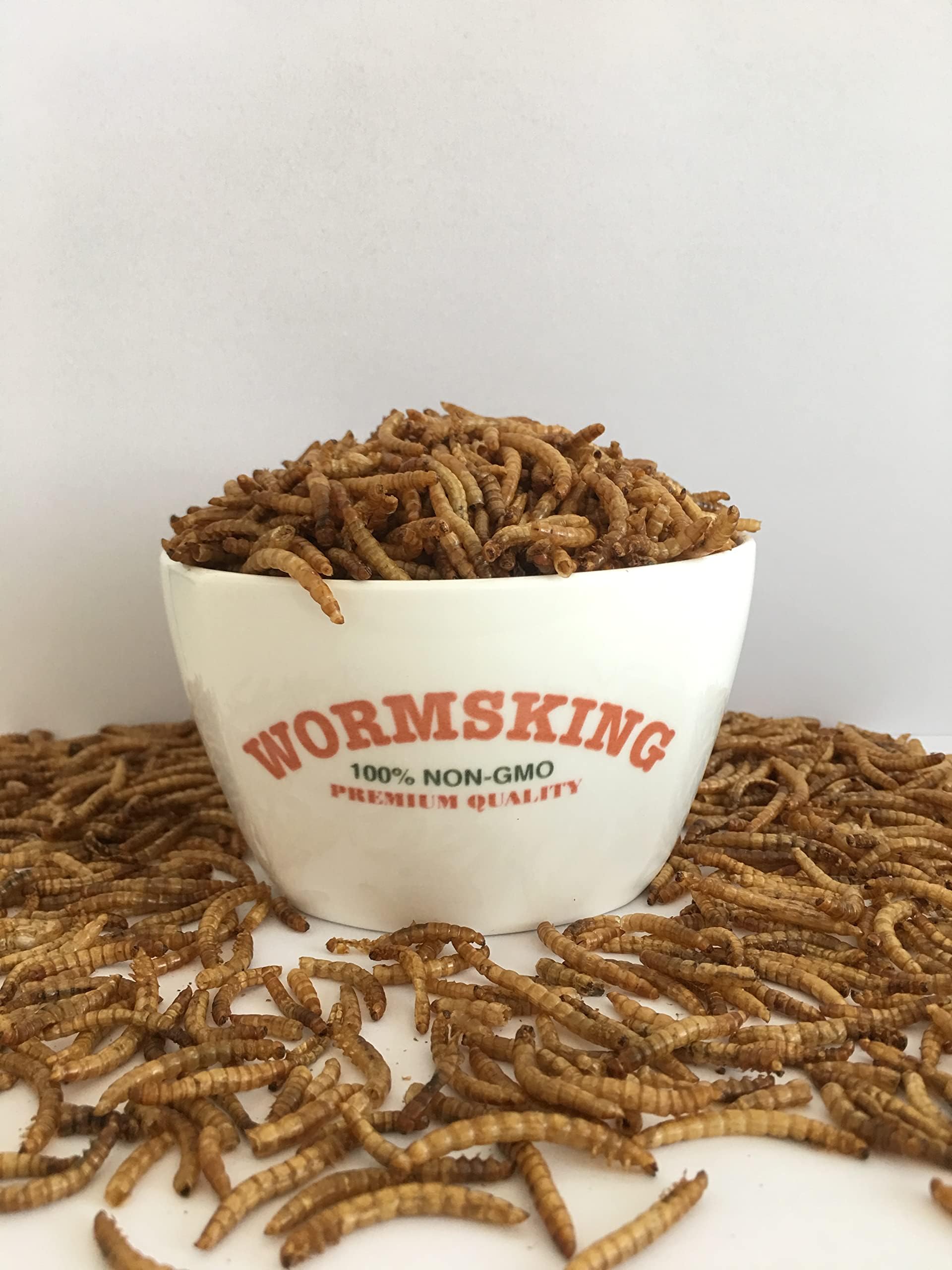 WORMSKING BSFL molting-support shot hints feather regrowth potential with extra feed
