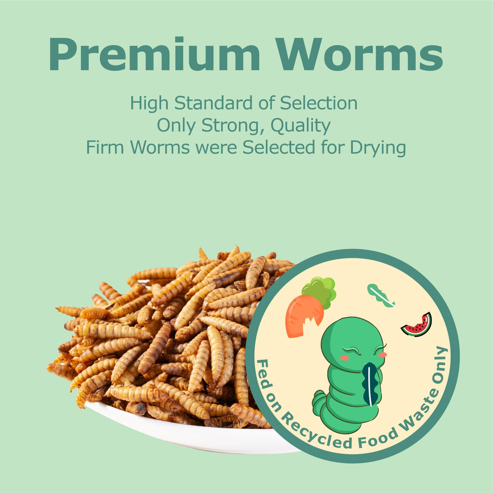 WORMSKING BSFL larvae suitable for poultry, reptiles, and small pets.