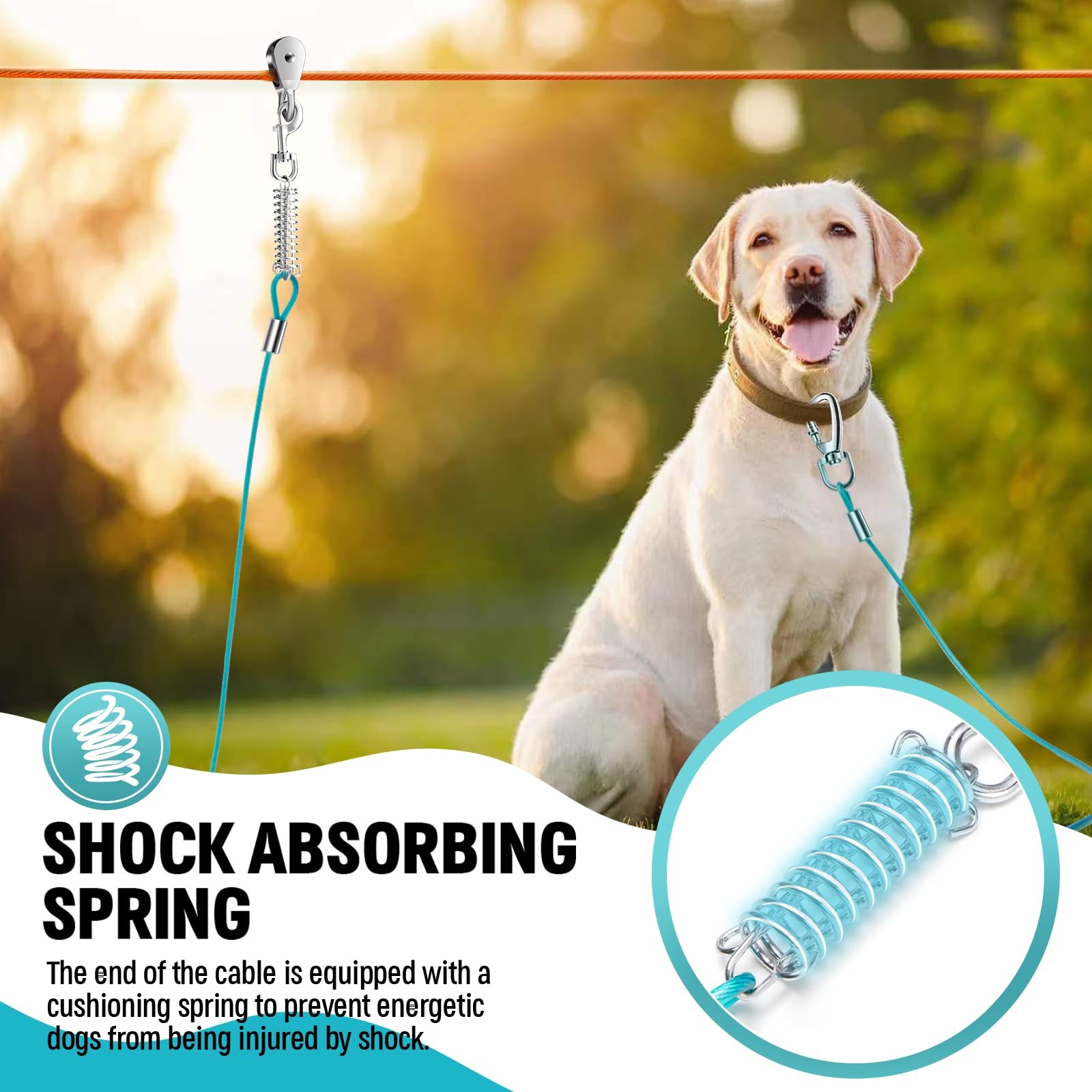 Wormutong dog trolley 15ft cable extends camping range while keeping supervision.
