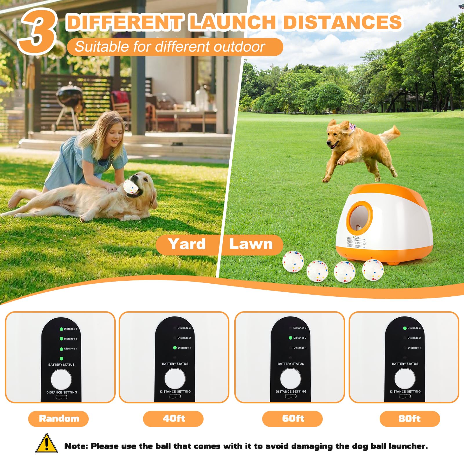 Wortade 2-5-inch balls pack with durable bite resistance.