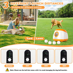 Wortade 2-5-inch balls pack with durable bite resistance.