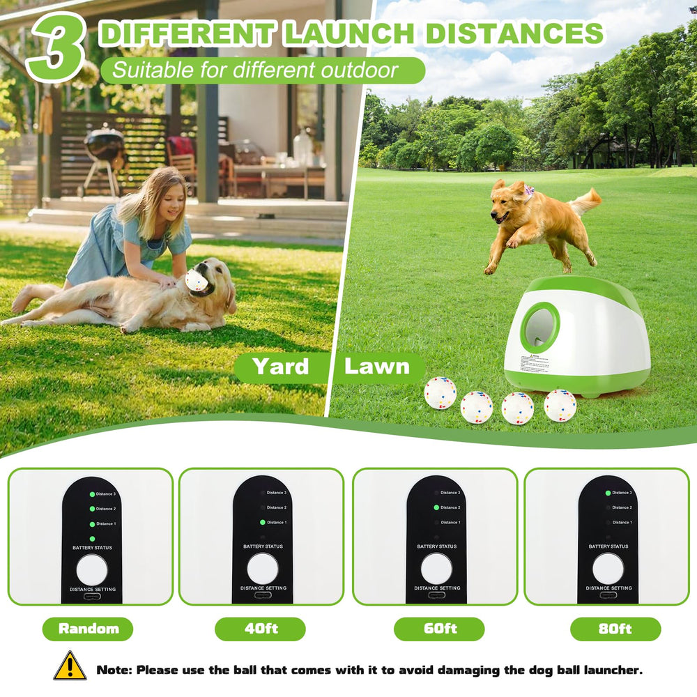 Wortade ball-launcher 80ft reach fuels endurance during outdoor fetch sessions.