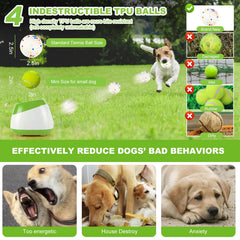 Wortade 4 x 2.5-inch balls showcase durability for aggressive chewers.