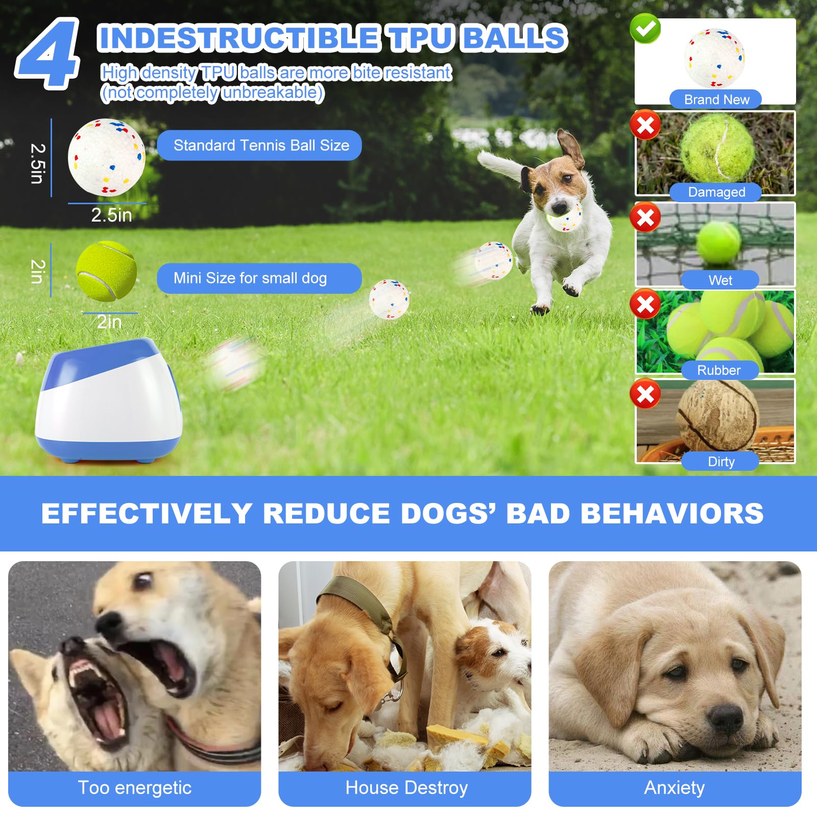 Wortade 2.5-inch E-TPU balls showcase durable, safe play for enthusiastic chewers.