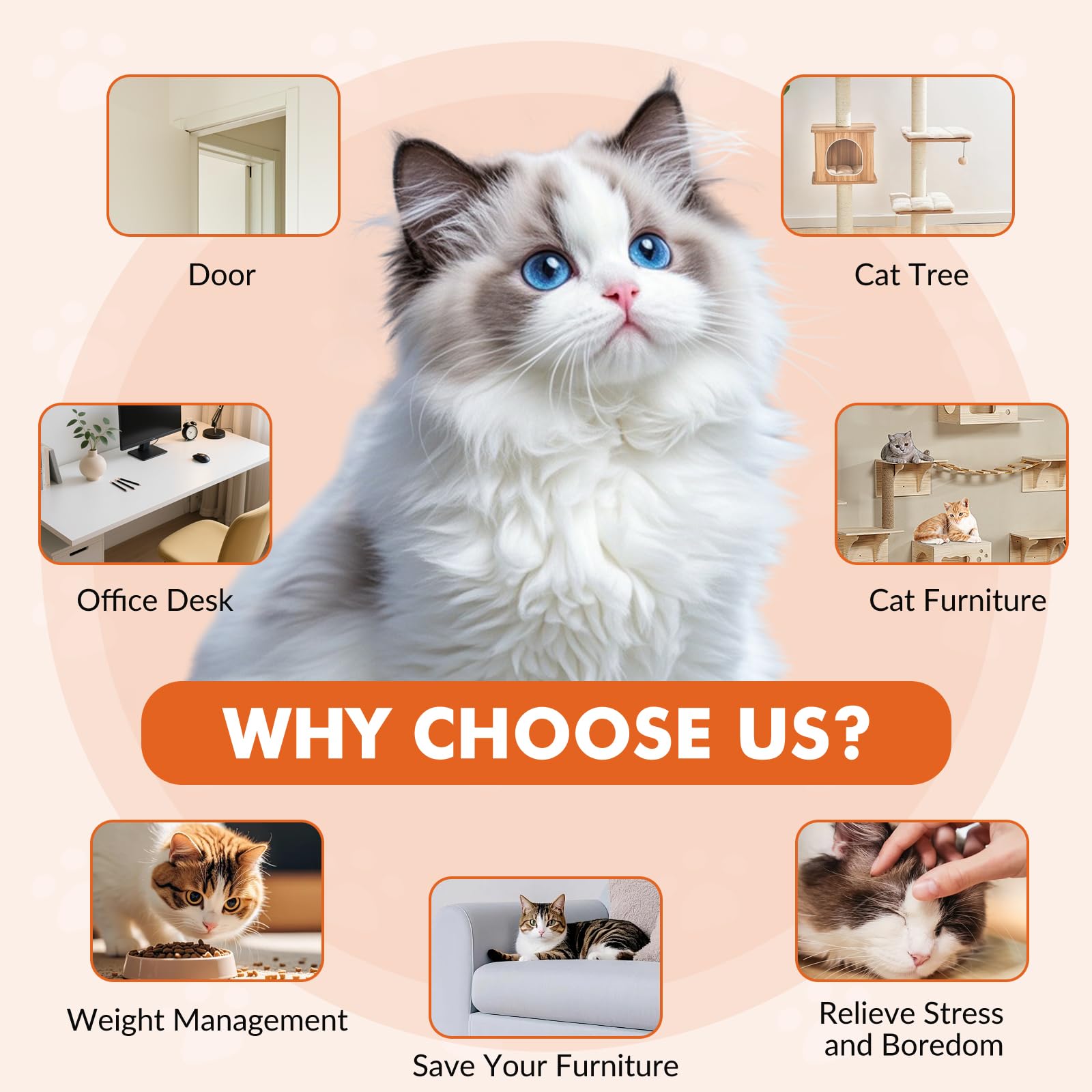 Wortade cat toy hanging clip setup show secure installation options