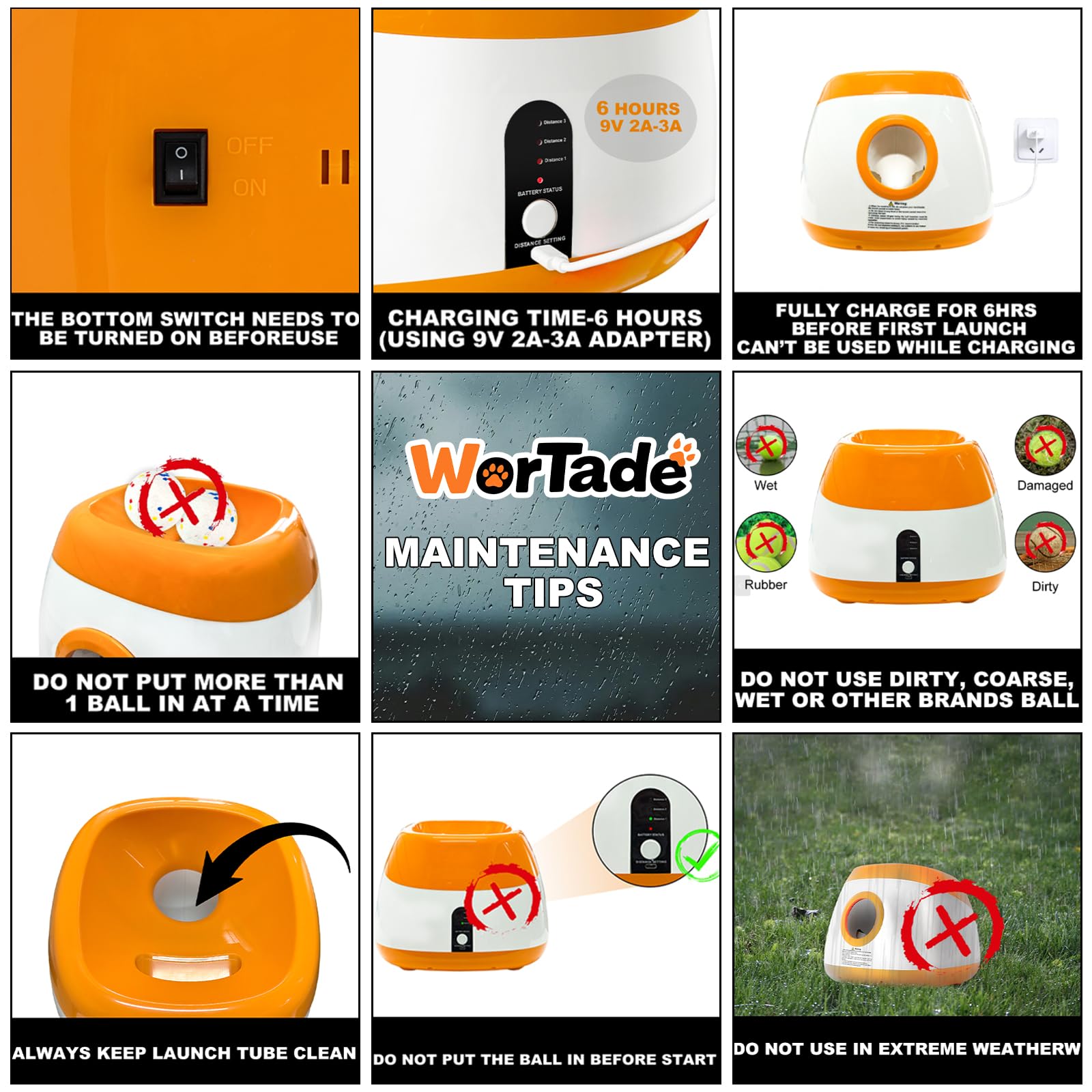 Wortade dog-fetching-in-action shows active exercise and bonding.
