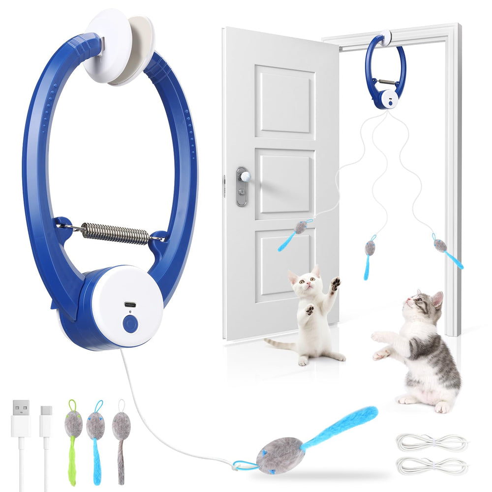 Wortade interactive cat toy hangs on a door frame for active indoor play.
