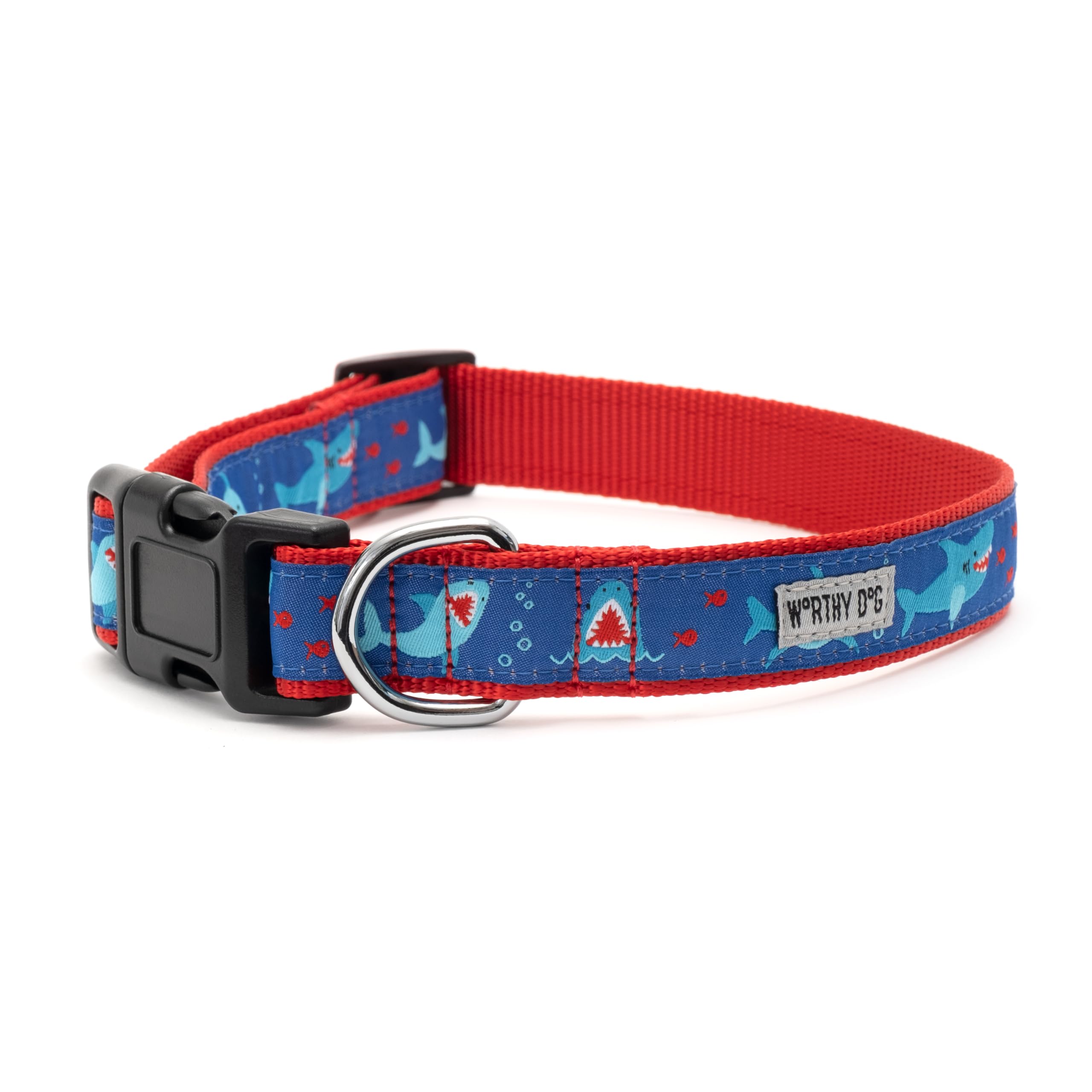 The Worthy Dog blue collar D-ring closeup shows sturdy attachment for leashes and tags.