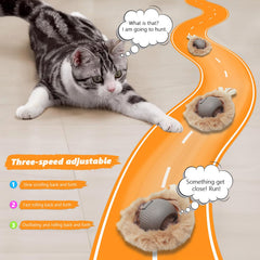 WOWF cat feathers: soft feather textures spark hunting instincts and playful pouncing in kittens.