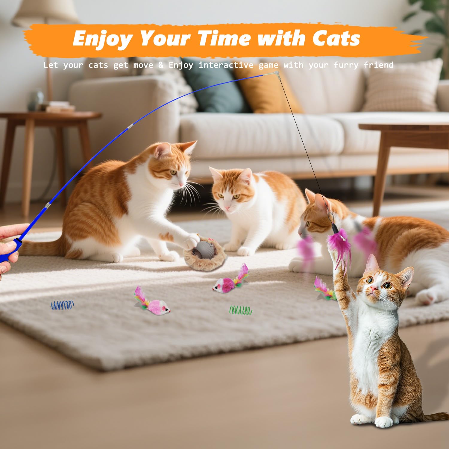 WOWF indoor play setup: versatile set supports solo and group play for social cats.