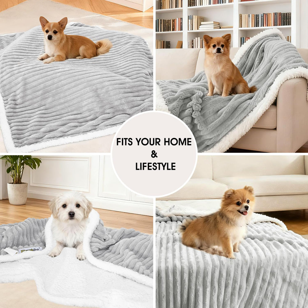 WowOhPet machine-washable design enables quick cleanup after adventures