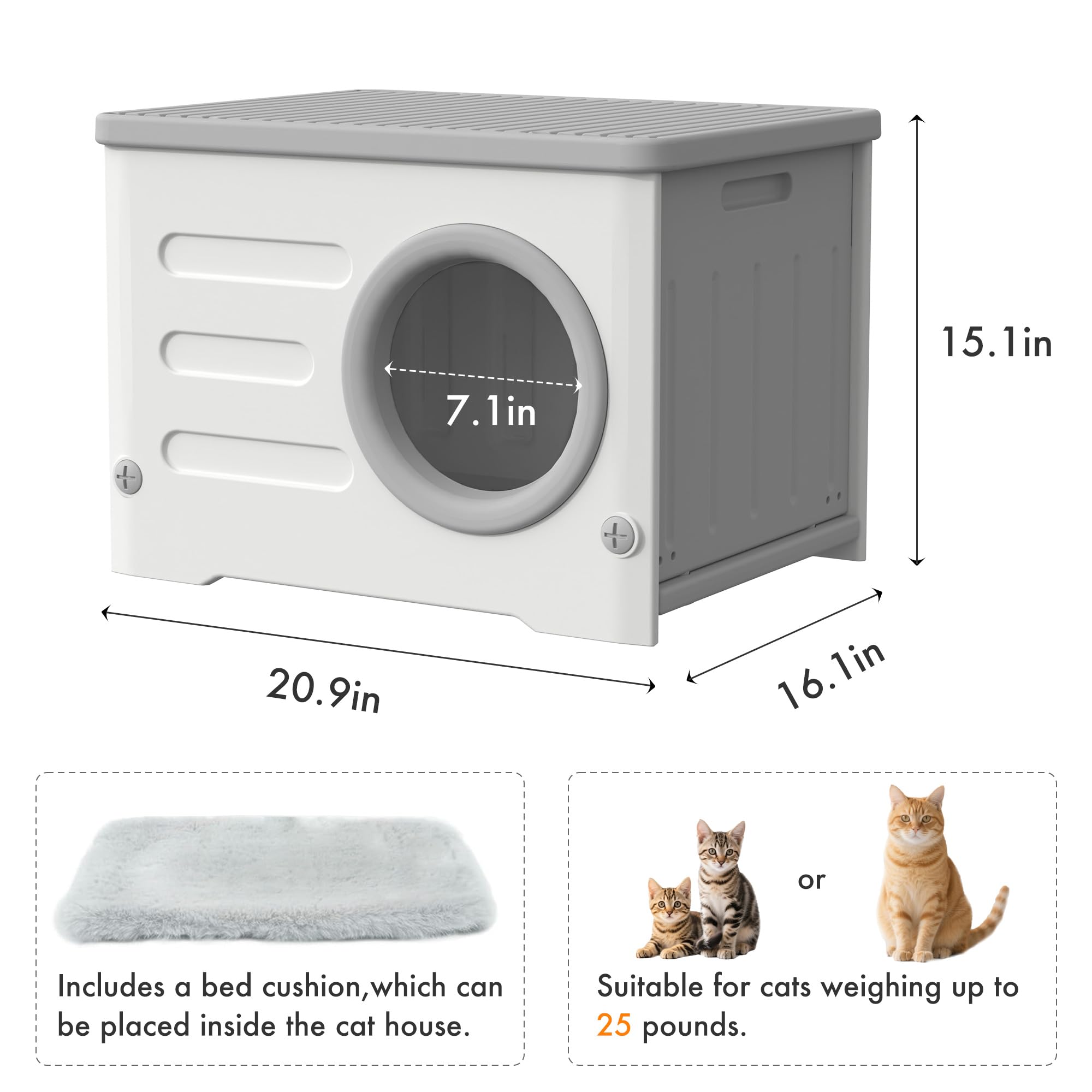 WOWOTOZN-two-cats-spacious-interior reveals room for lounging and curling up together.