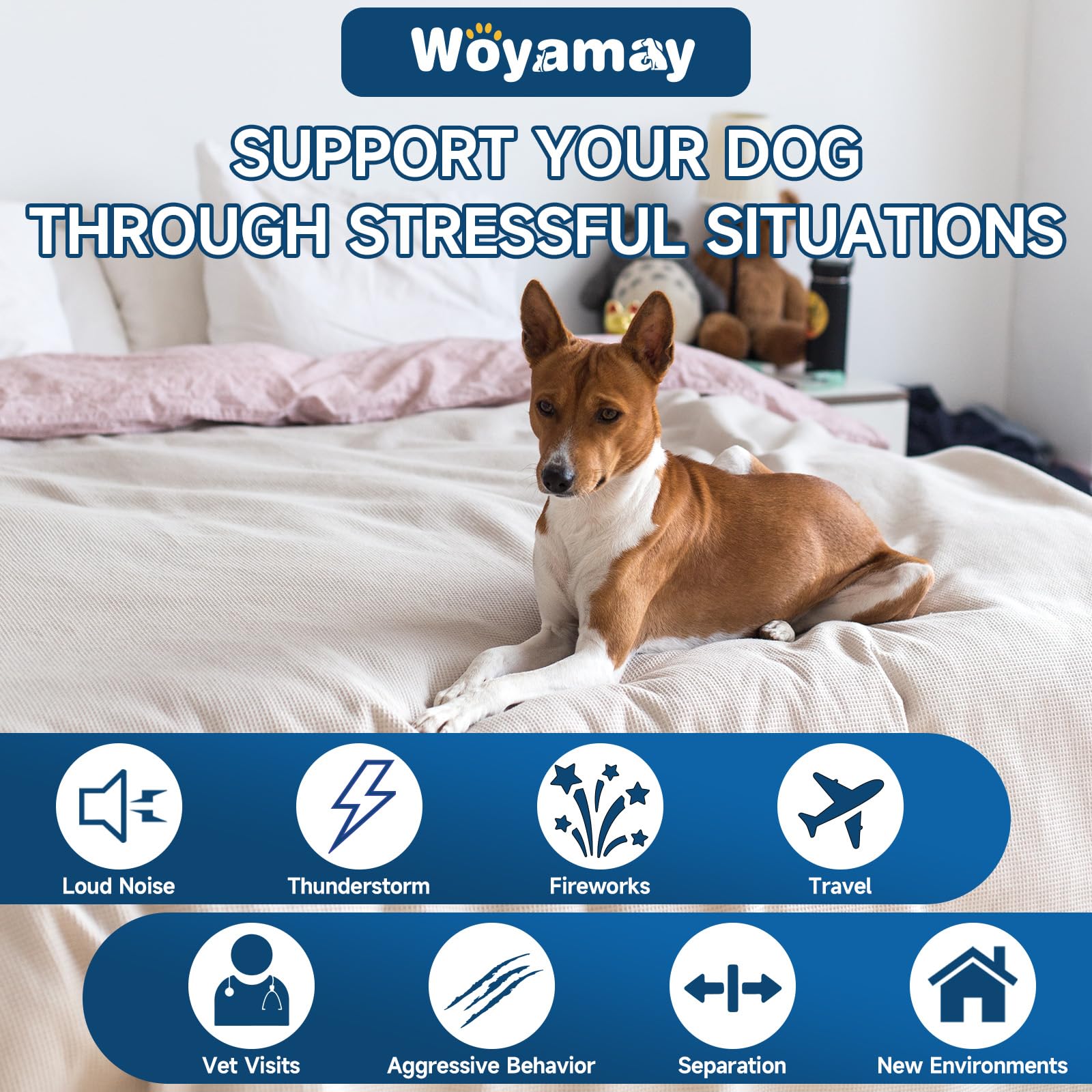 Woyamay calming chews 200-count pack provides long-lasting calm for dogs