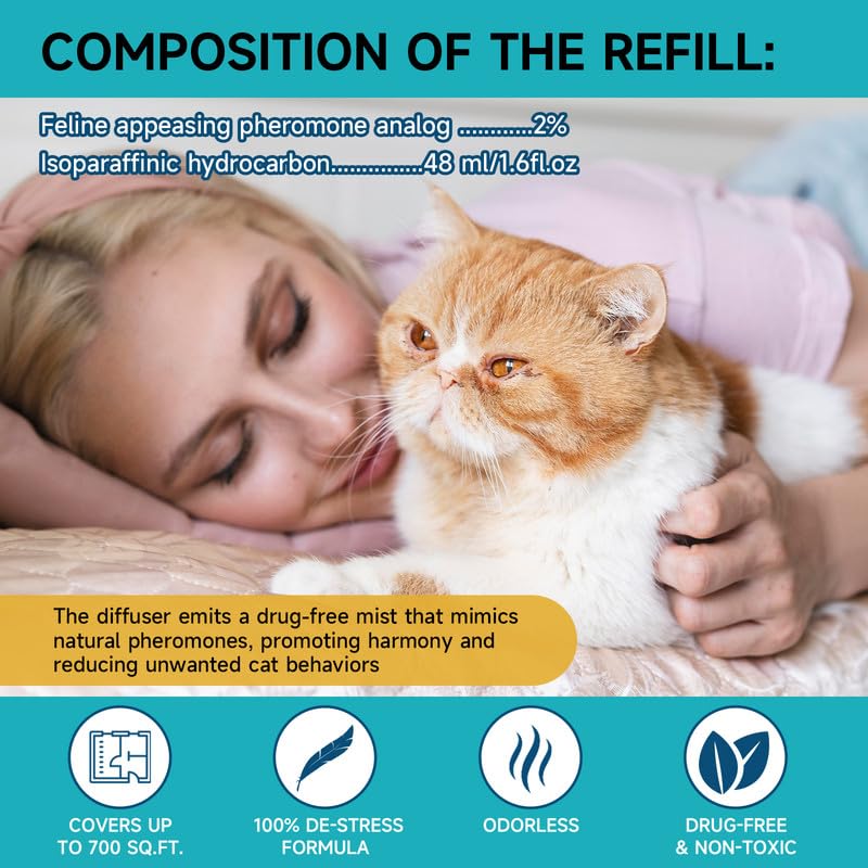 Woyamay diffuser in living room easing cat nerves during daily life