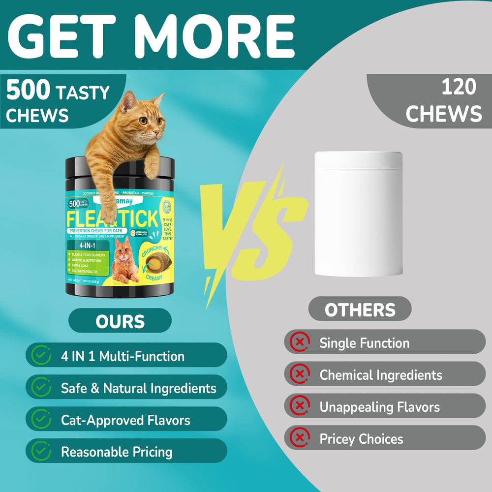 Woyamay cat enjoys chews during daily wellness routine