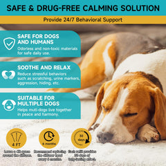 Woyamay calm bedroom setup promotes peaceful dog sleep