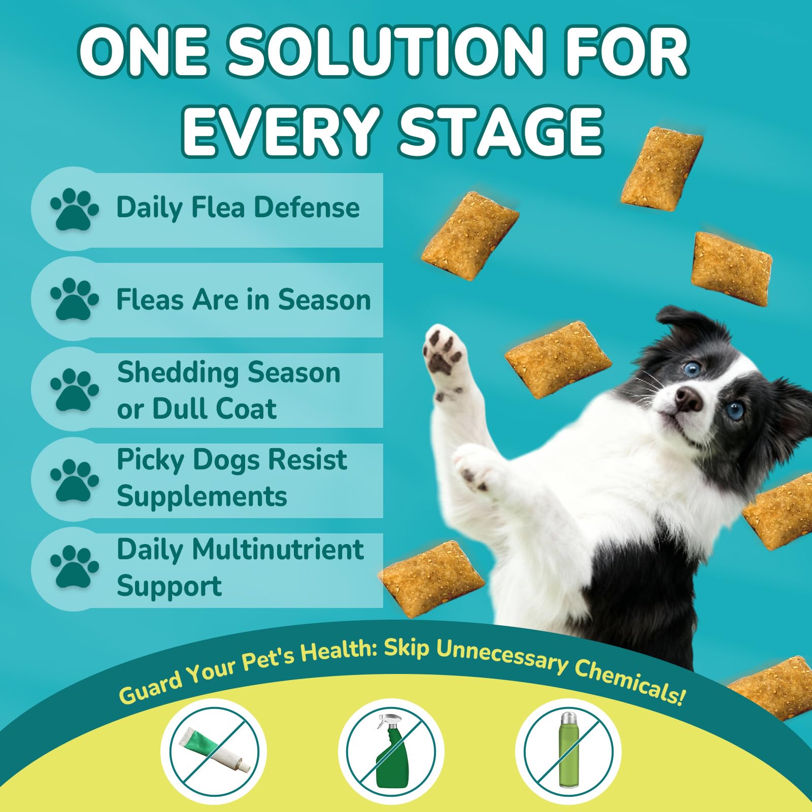 Woyamay mini chews fit small to large dogs for flexible portions.