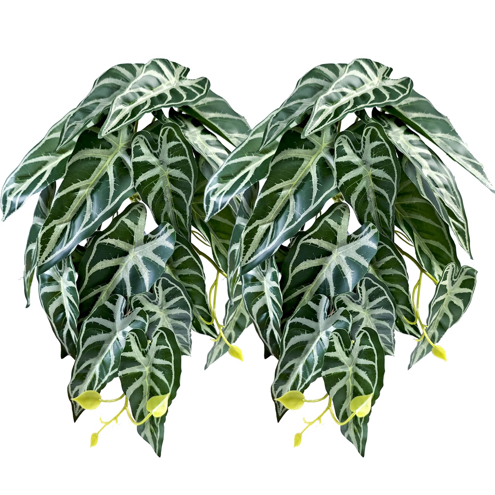 Woyrise reptile plants alocasia velvet leaves add natural terrarium ambiance and hiding spots.