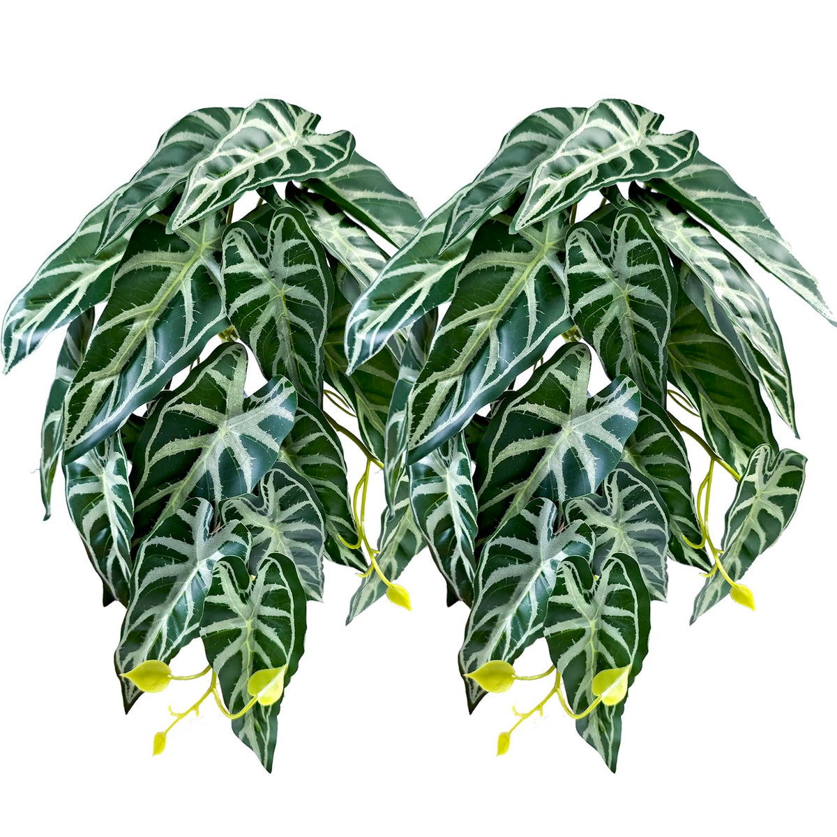 Woyrise reptile plants alocasia velvet leaves add natural terrarium ambiance and hiding spots.