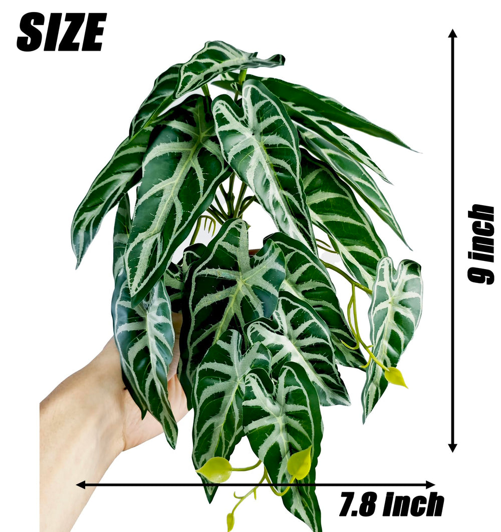 Woyrise reptile plants hanging-vines glass mounting supports climbing and enrichment.