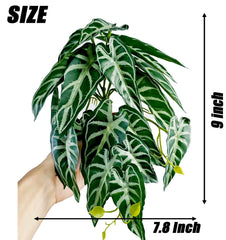 Woyrise reptile plants hanging-vines glass mounting supports climbing and enrichment.