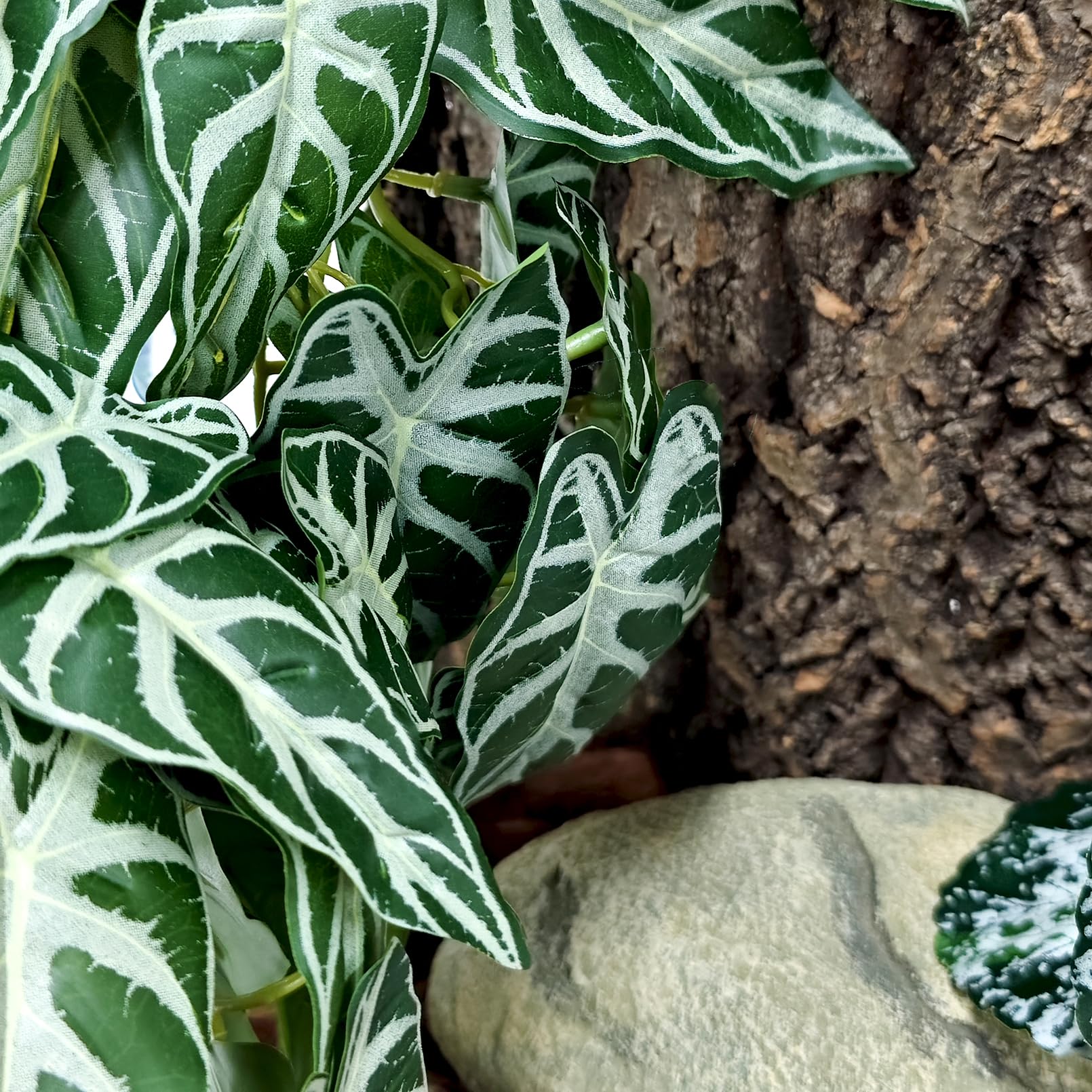 Woyrise reptile plants lifelike greenery enhances habitat aesthetics and pet interest.