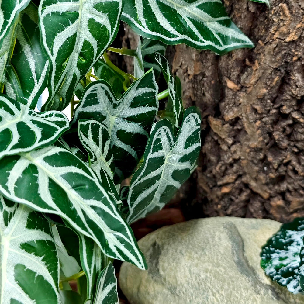 Woyrise reptile plants lifelike greenery enhances habitat aesthetics and pet interest.