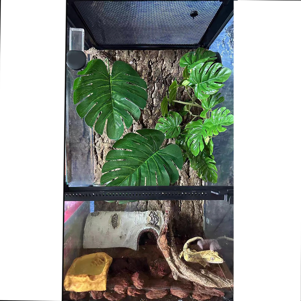 Woyrise reptile plants easy-install design speeds up terrarium setup.