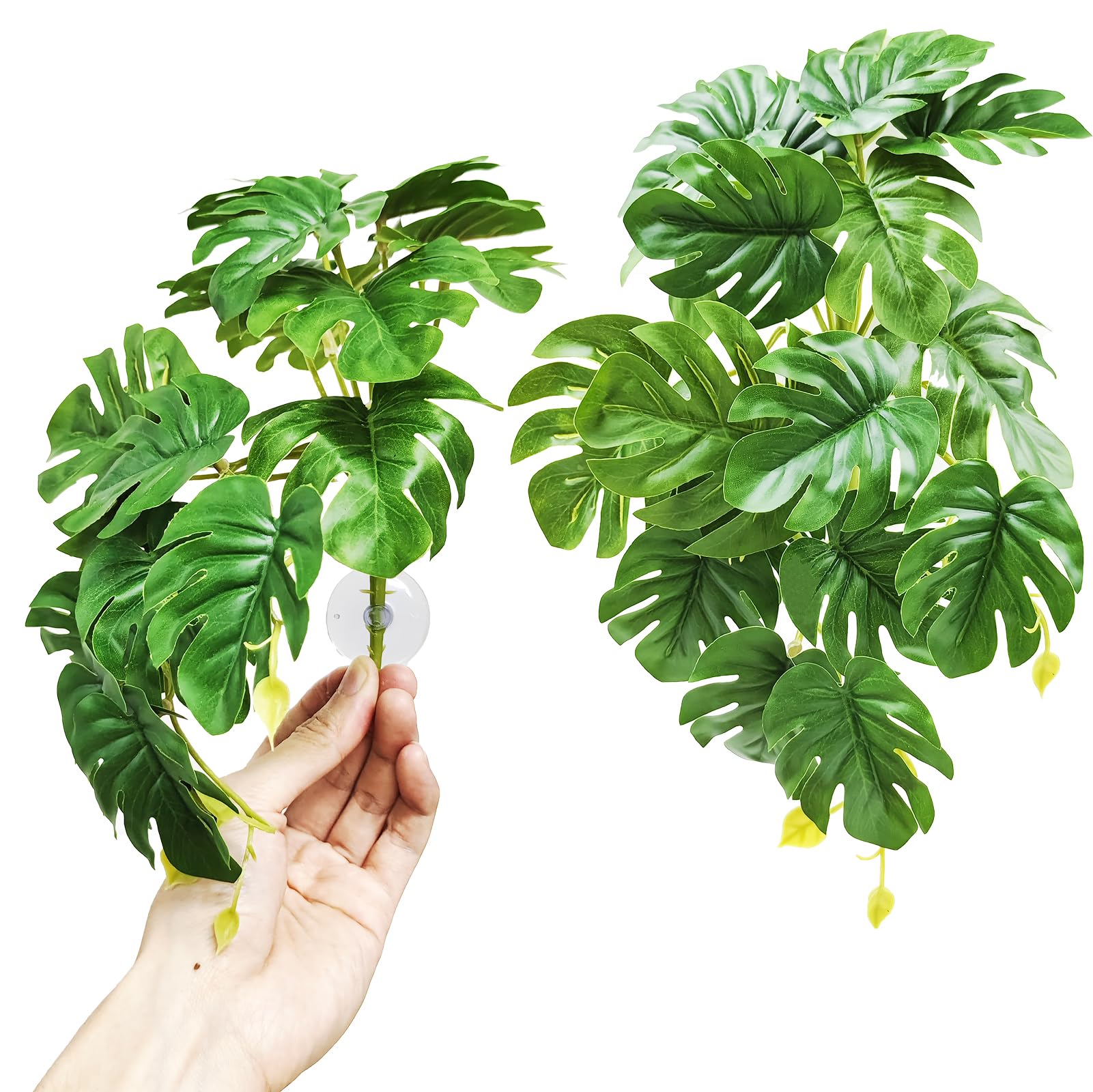 Woyrise reptile plants hanging with suction cups securely attach to terrarium walls.