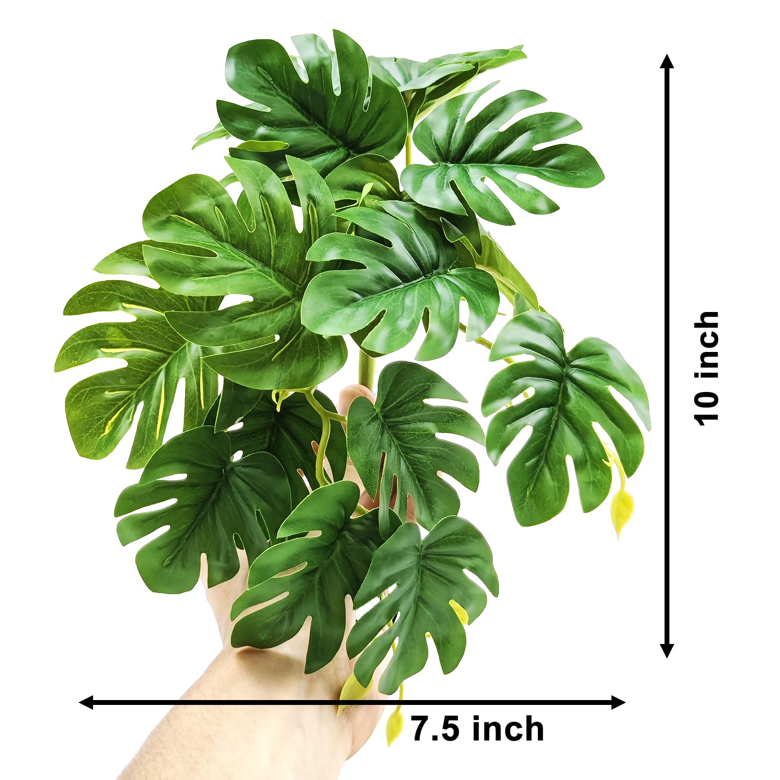 Woyrise reptile plants close-up shows detailed texture for a realistic look.